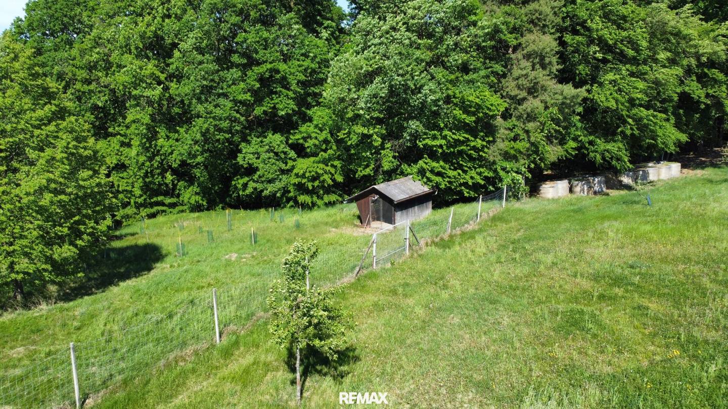 Sonnige Landwirtschaftsfläche mit Streuobstwiese und Tierhaltungspotenzial