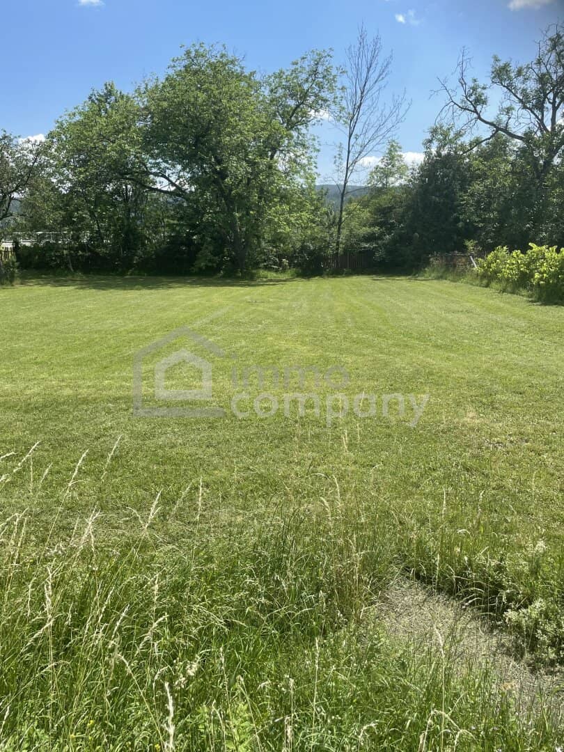 Baugrundstück mit altem Nussbaum in ruhiger Lage