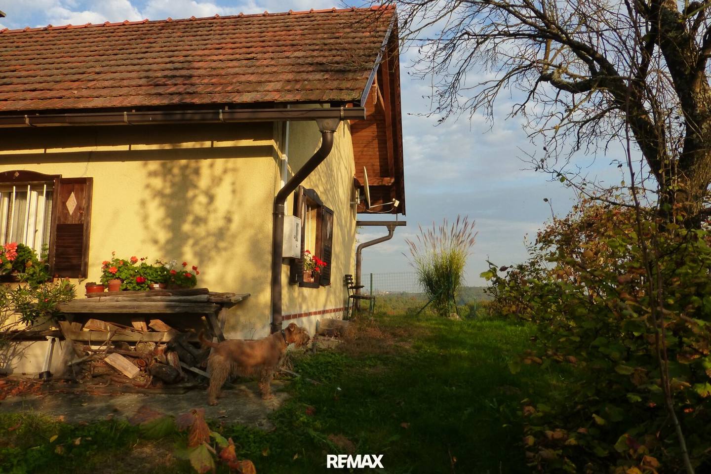 Ferienhaus mit Weingarten und Keller in Slowenien