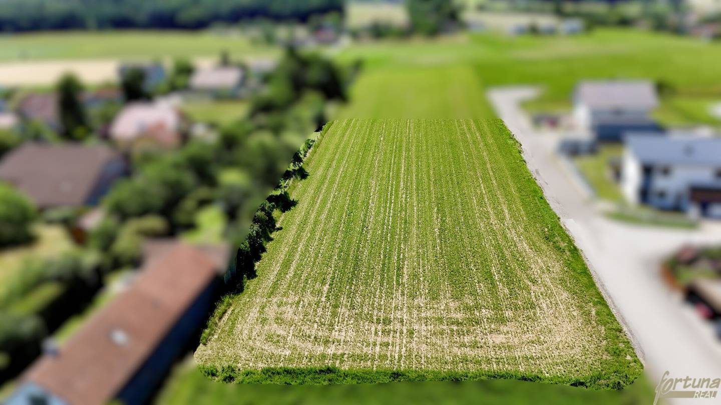 From dream to homeownership! Sunny building plot in Kirchstetten