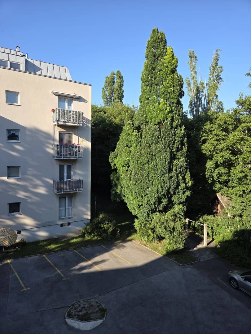3-Zimmer-Wohnung Döbling 1190