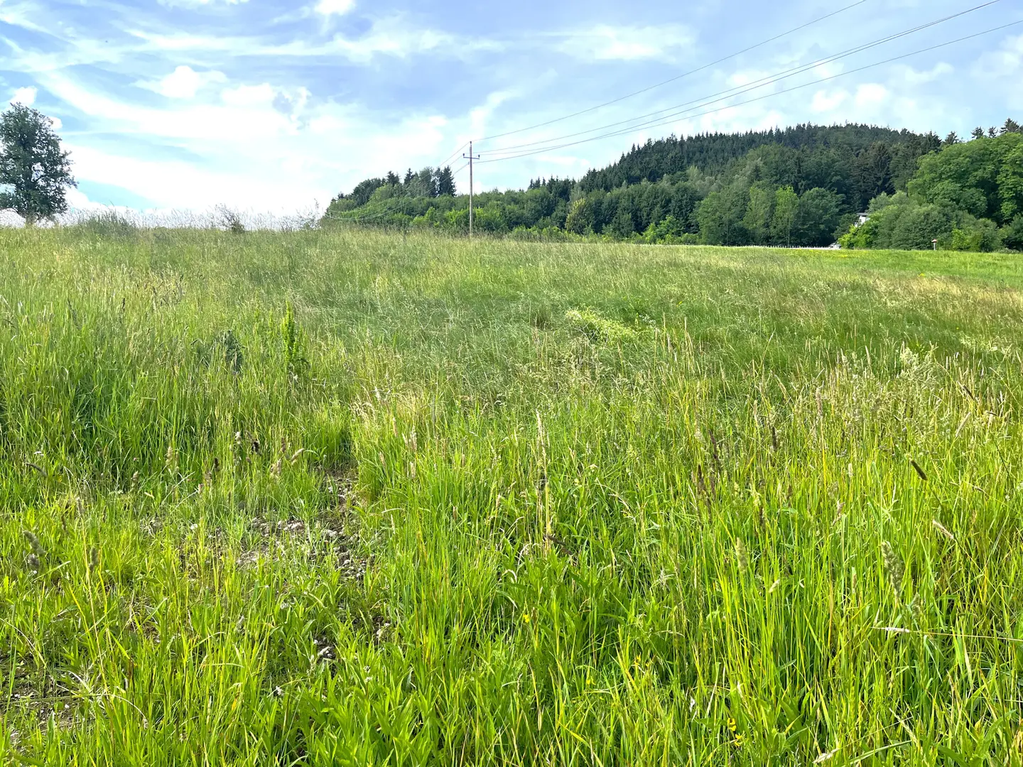 Baugrundstück in ruhiger Naturlage ohne Bauzwang
