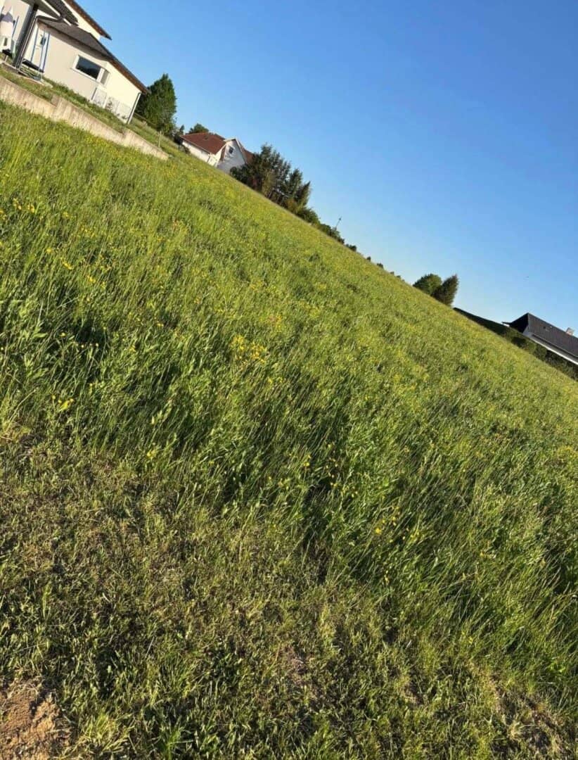 Sonnenverwöhntes Baugrundstück in ruhiger Lage