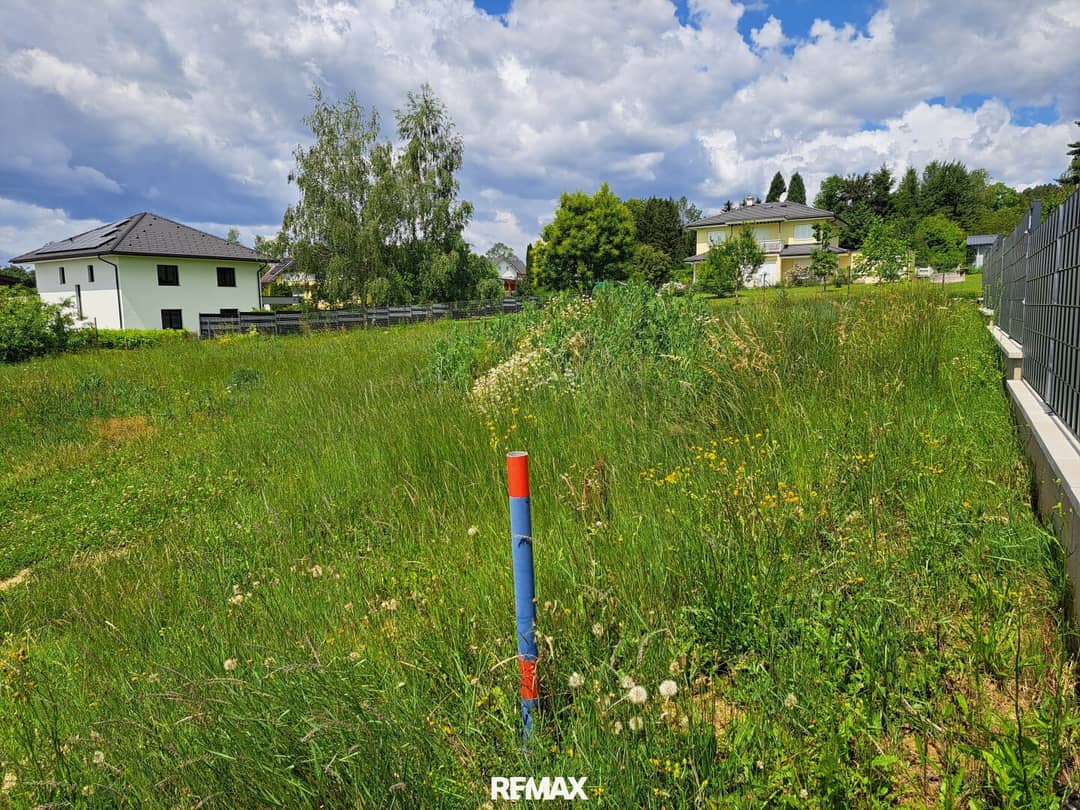 Immobilienbild 2