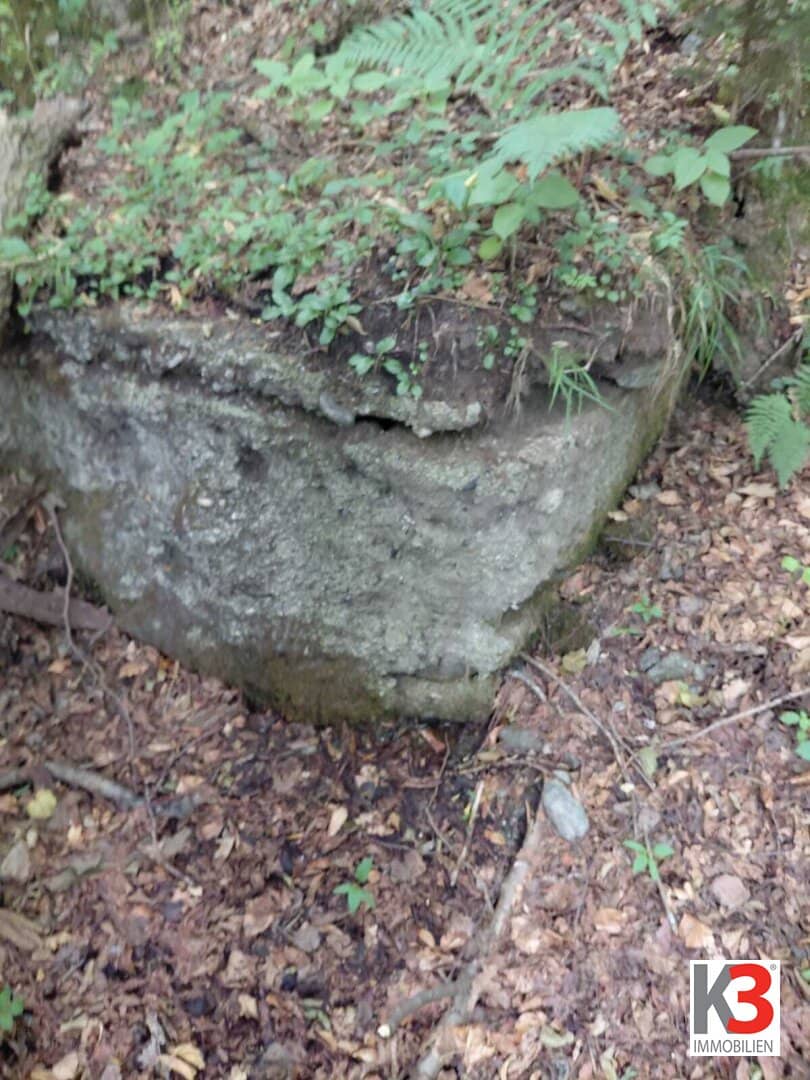 Waldparzelle mit Wasserquelle in Hanglage
