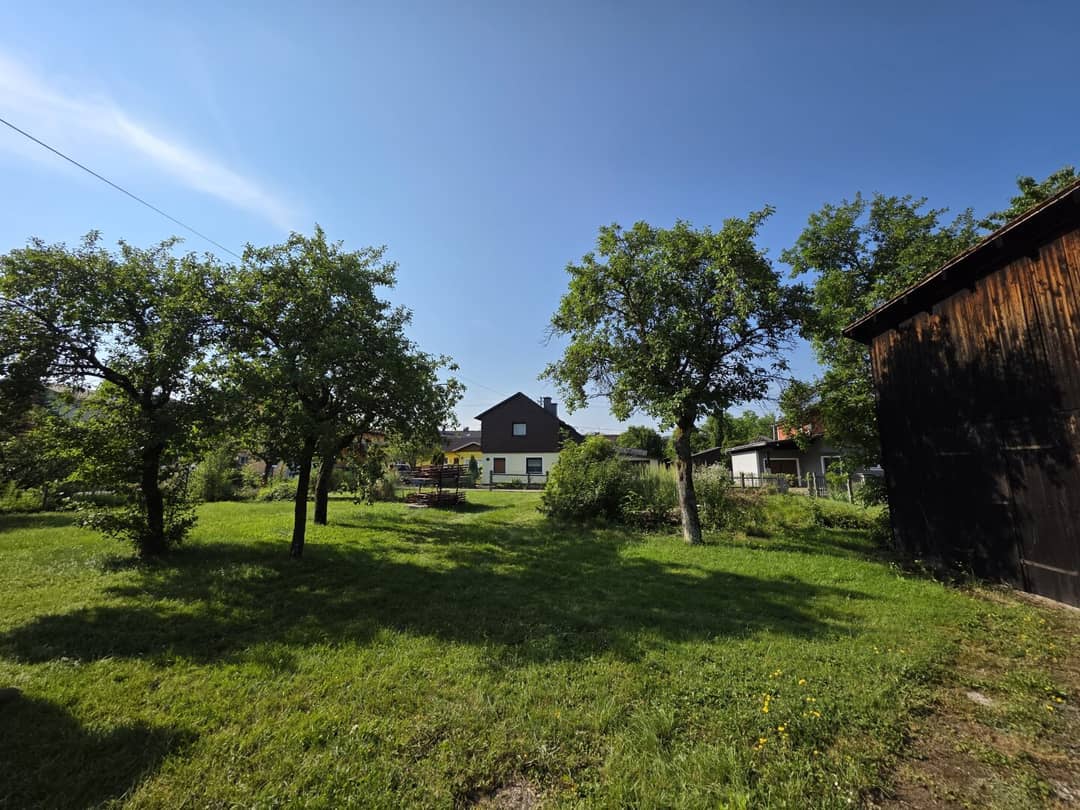 Immobilienbild 3