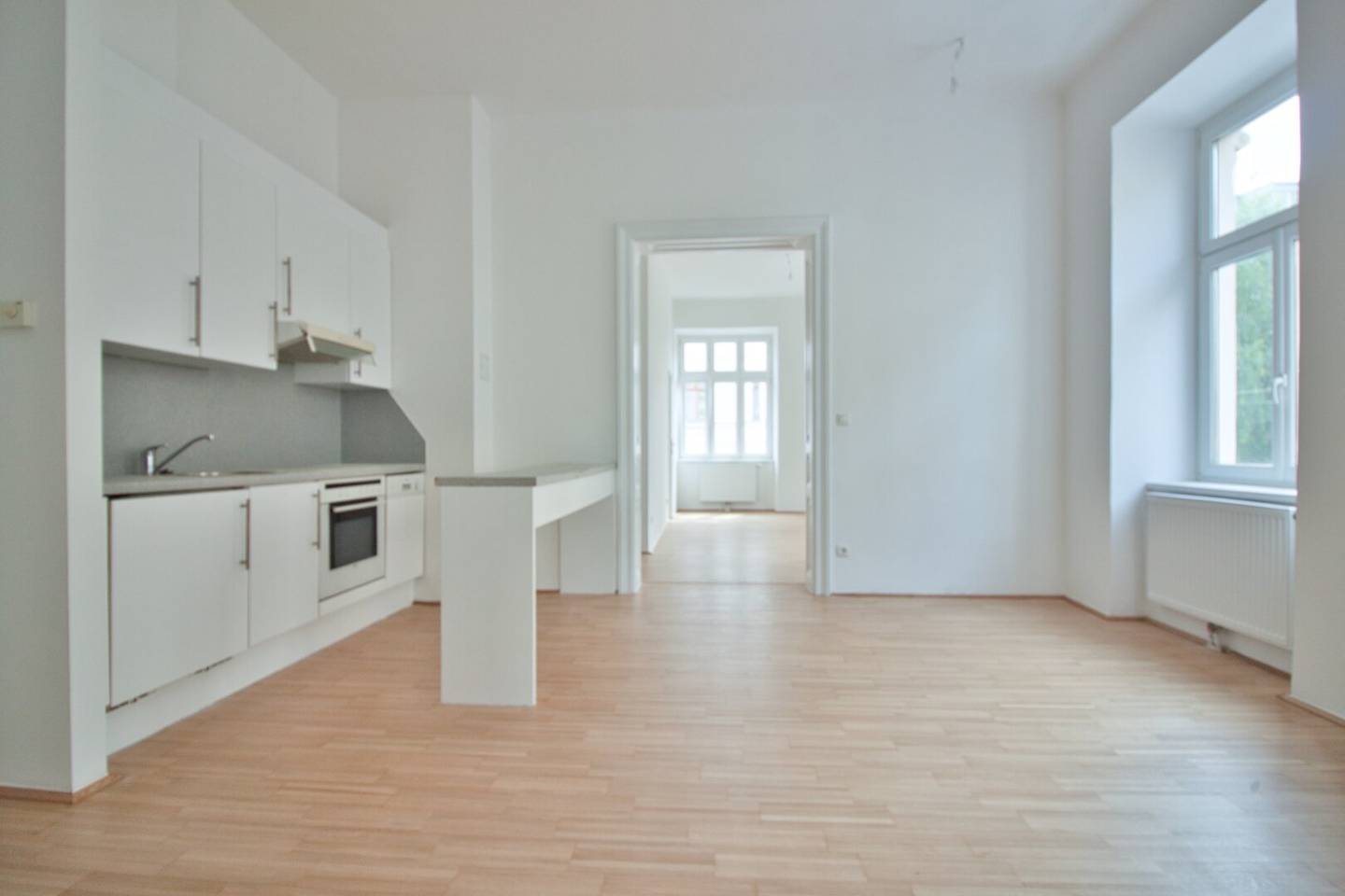Bright Altbau apartment with elevator near subway and Schönbrunn
