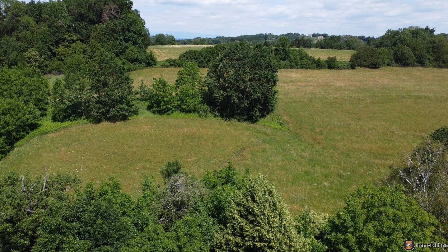 Traditioneller Dreikanthof mit großem Grundstück in Alleinlage