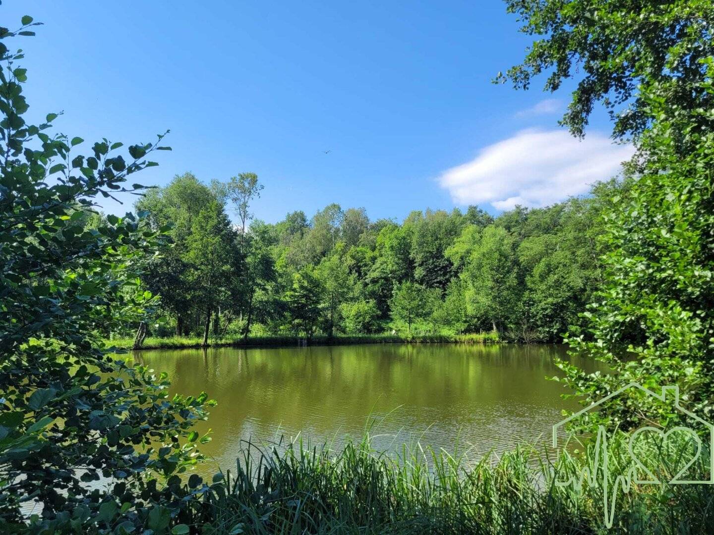 Fischteichanlage mit Hütte und Wasserrechten mitten im Wald