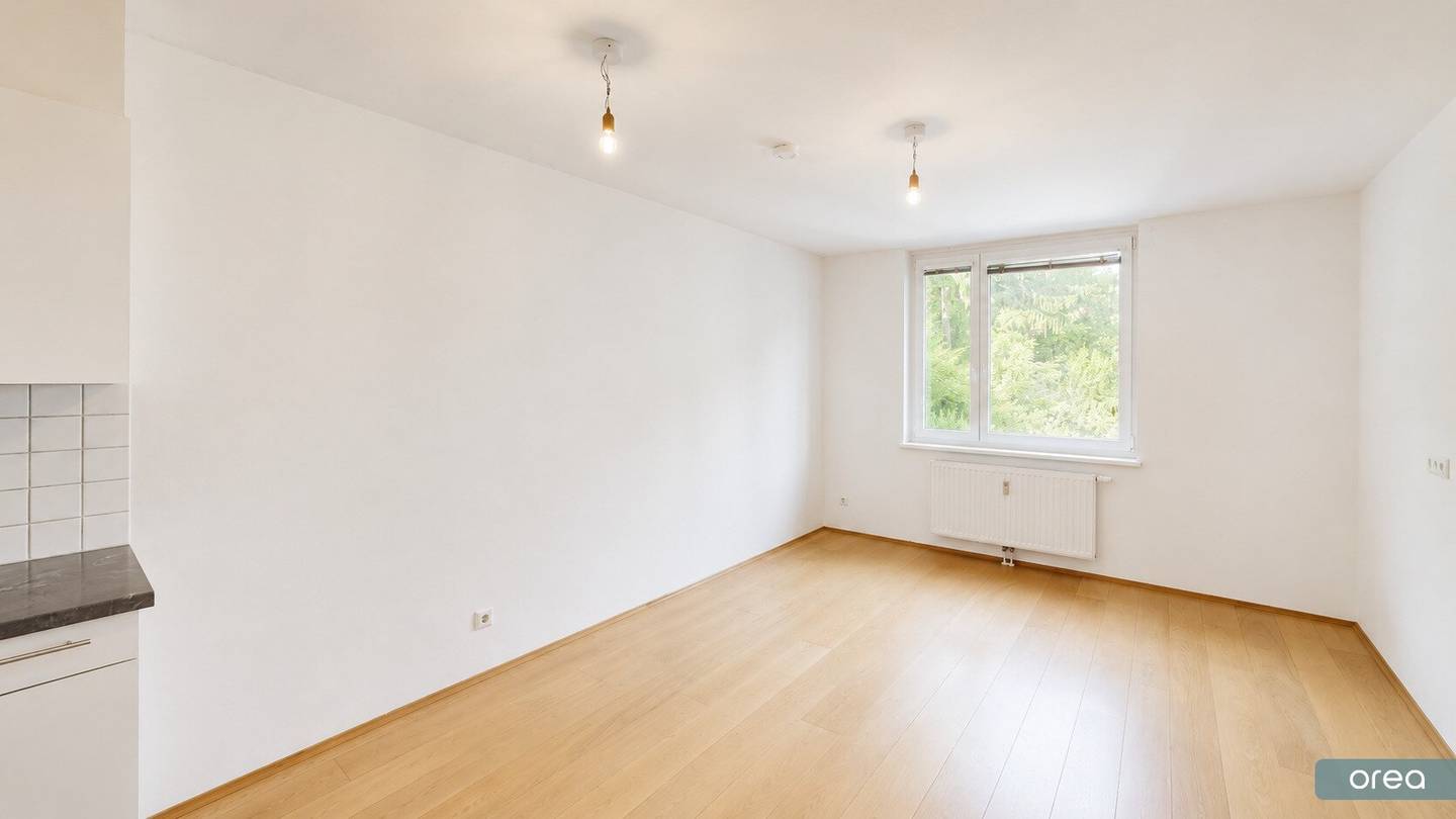 Helle 2 Zimmer Wohnung mit Garage in Wien Penzing