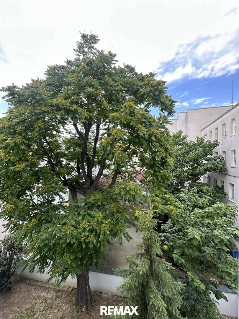 Bright Altbau apartment with loggia near Yppenplatz