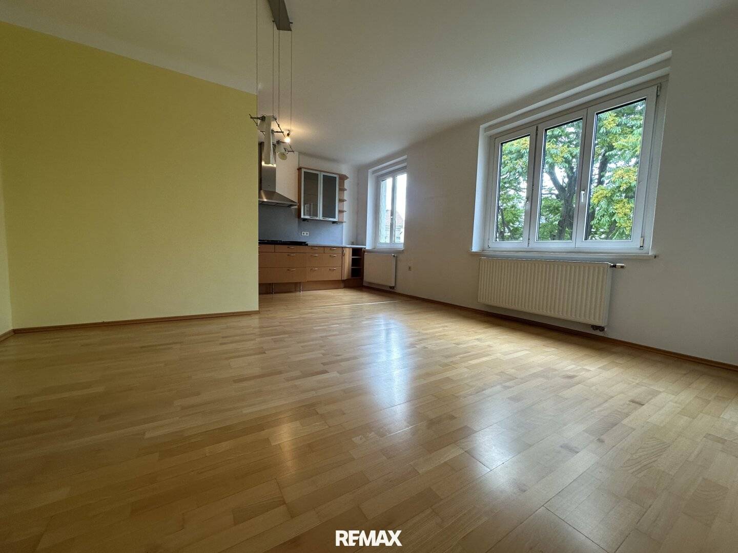 Bright Altbau apartment with loggia near Yppenplatz