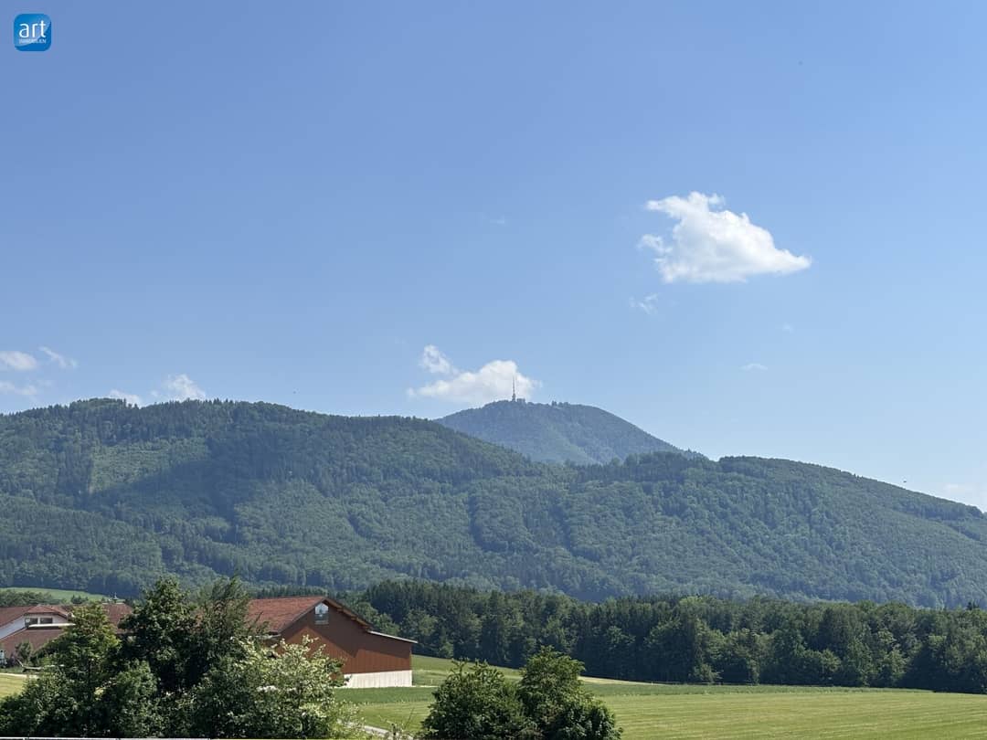 Immobilienbild 3