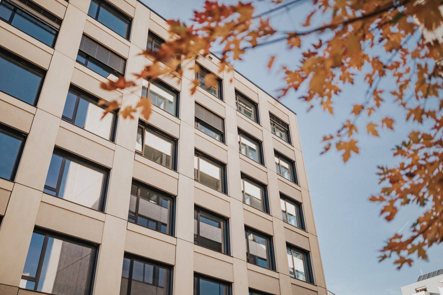Office space on the 4th floor with elevator and central location
