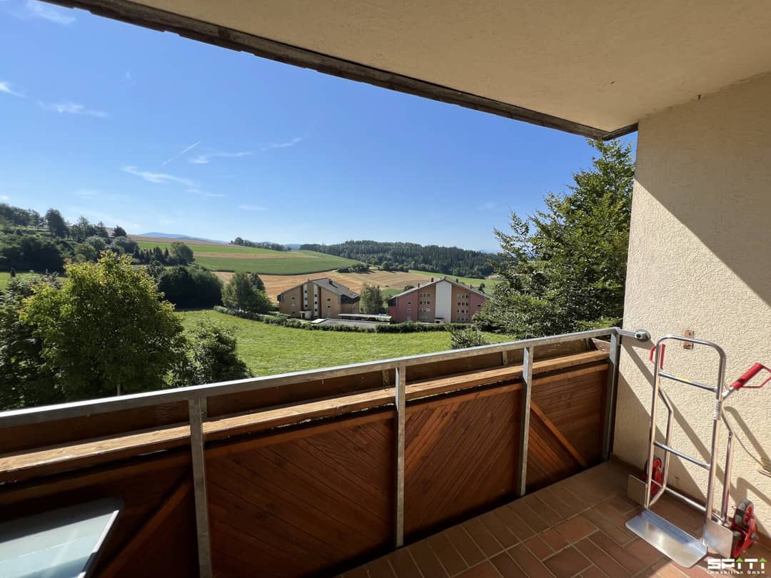 Helle Wohnung mit Südost Loggia und Parkett in Treibach