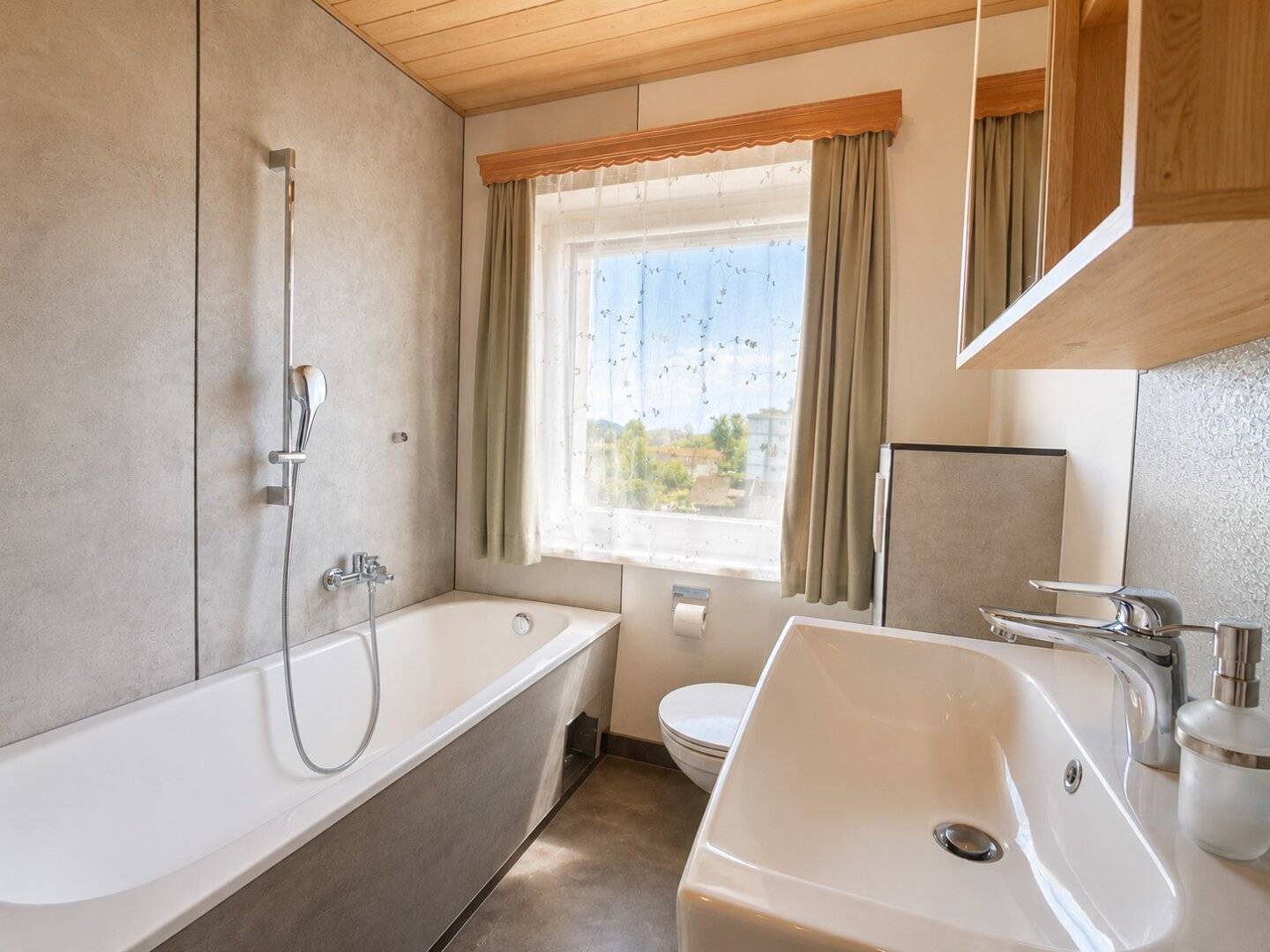 Apartment with mountain views by the Salzach
