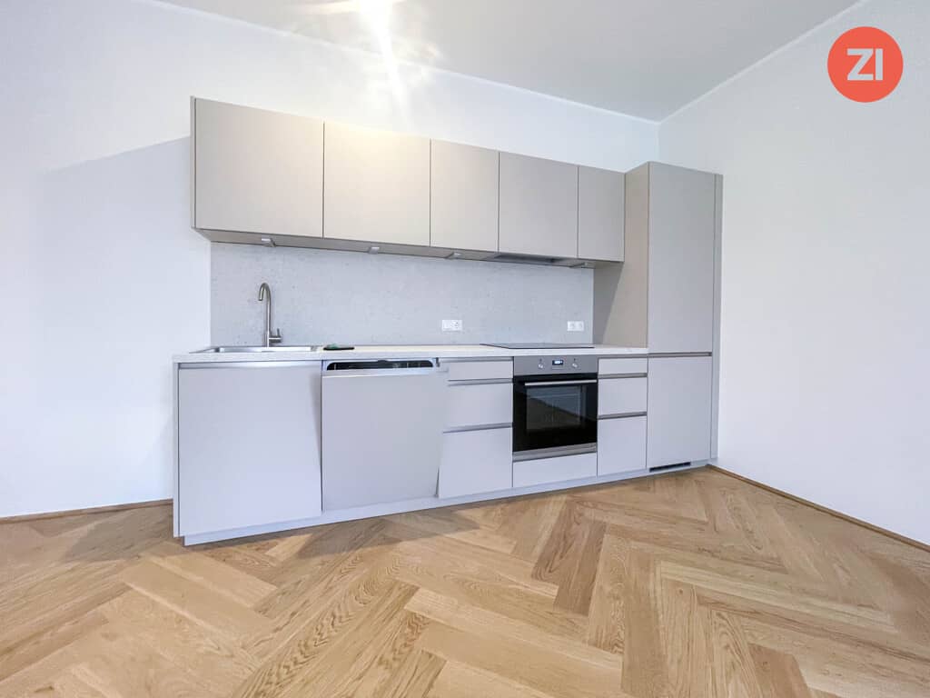 Renovated apartment with open kitchen in central location