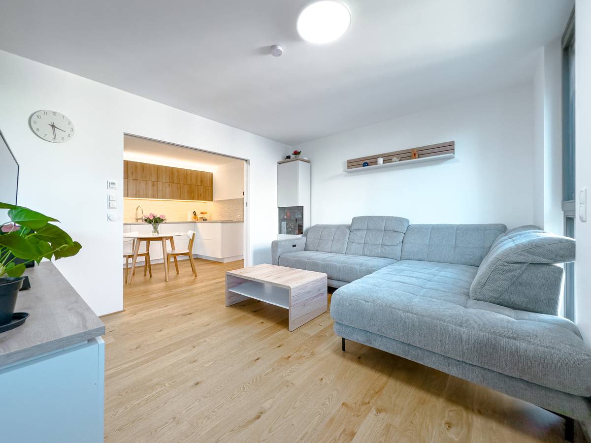 Moderne Wohnung mit Balkon und Parkett in Höchst