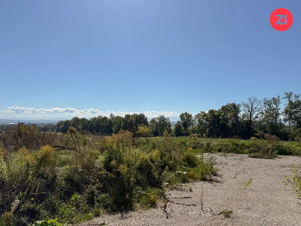 Sonnige Baugrundstücke in ruhiger Lage