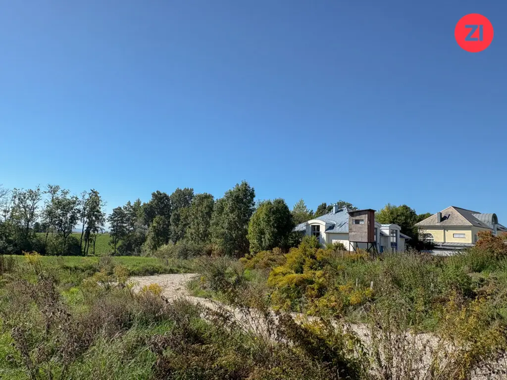 Sunny building plots in a peaceful setting