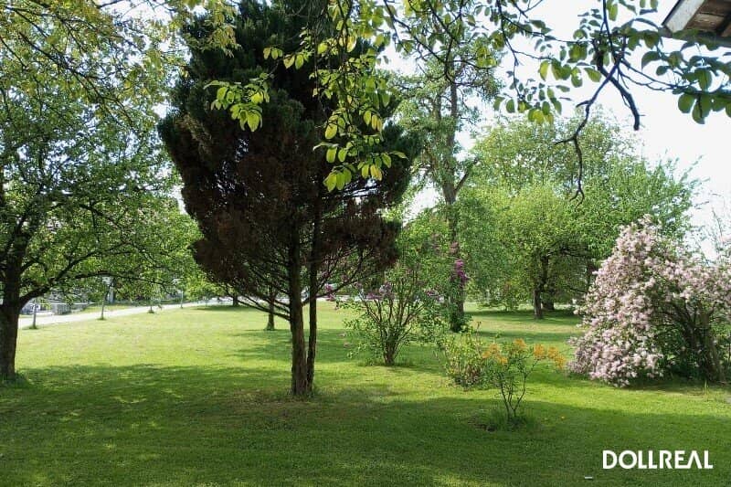 Baugrundstück mit Obstgarten in sonniger Lage