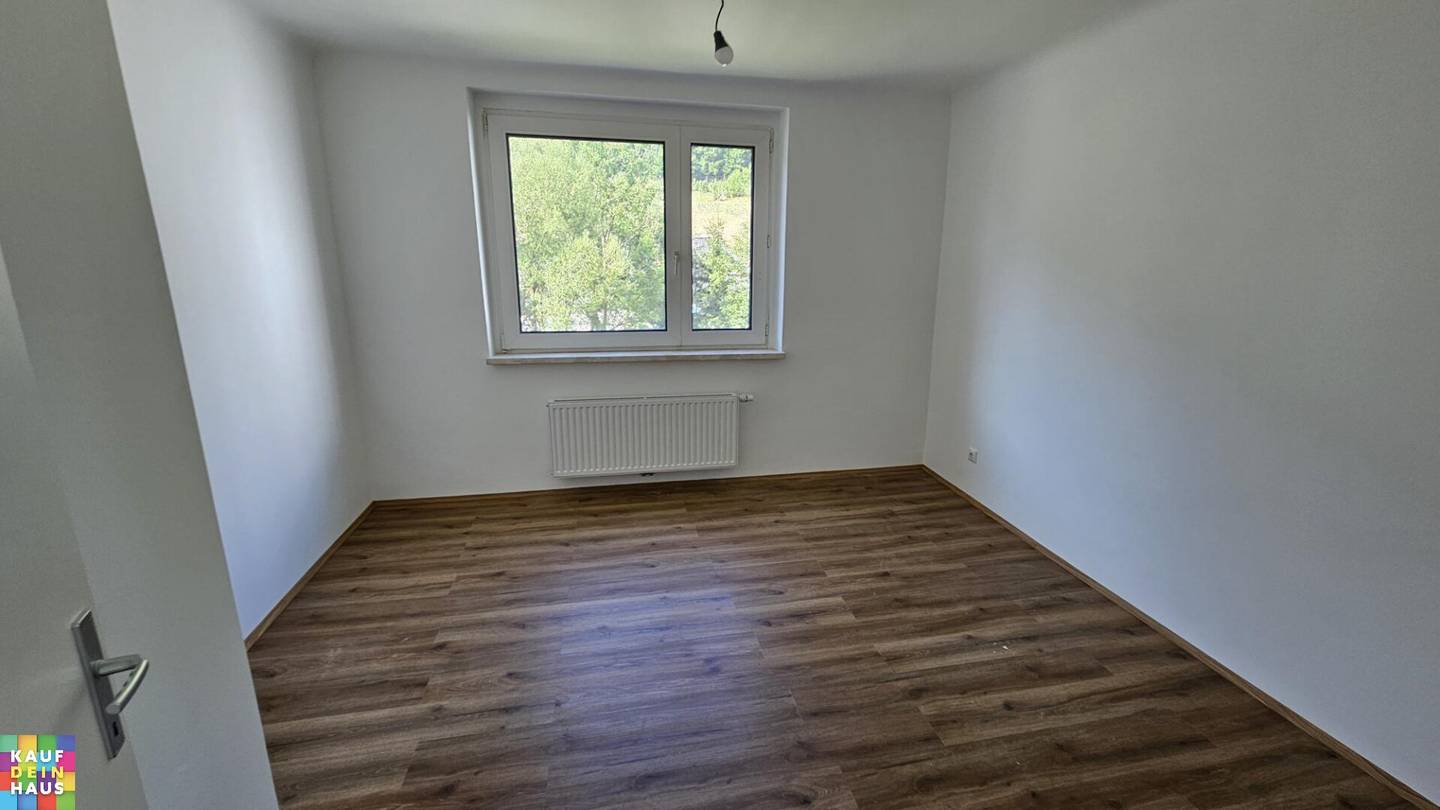 Renovated apartment first occupancy no broker