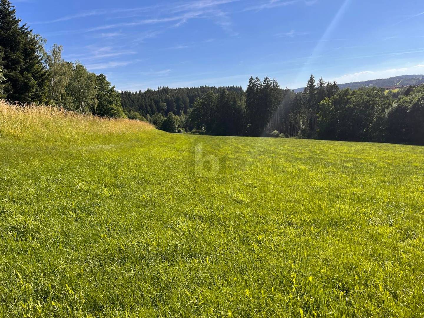 Sonnige ruhige Lage und ortsnahe Wohnung