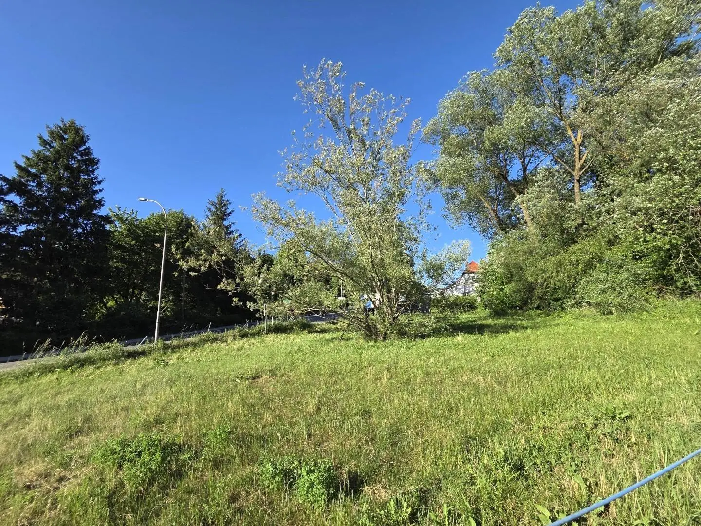 Spacious plot with mature trees on the city edge