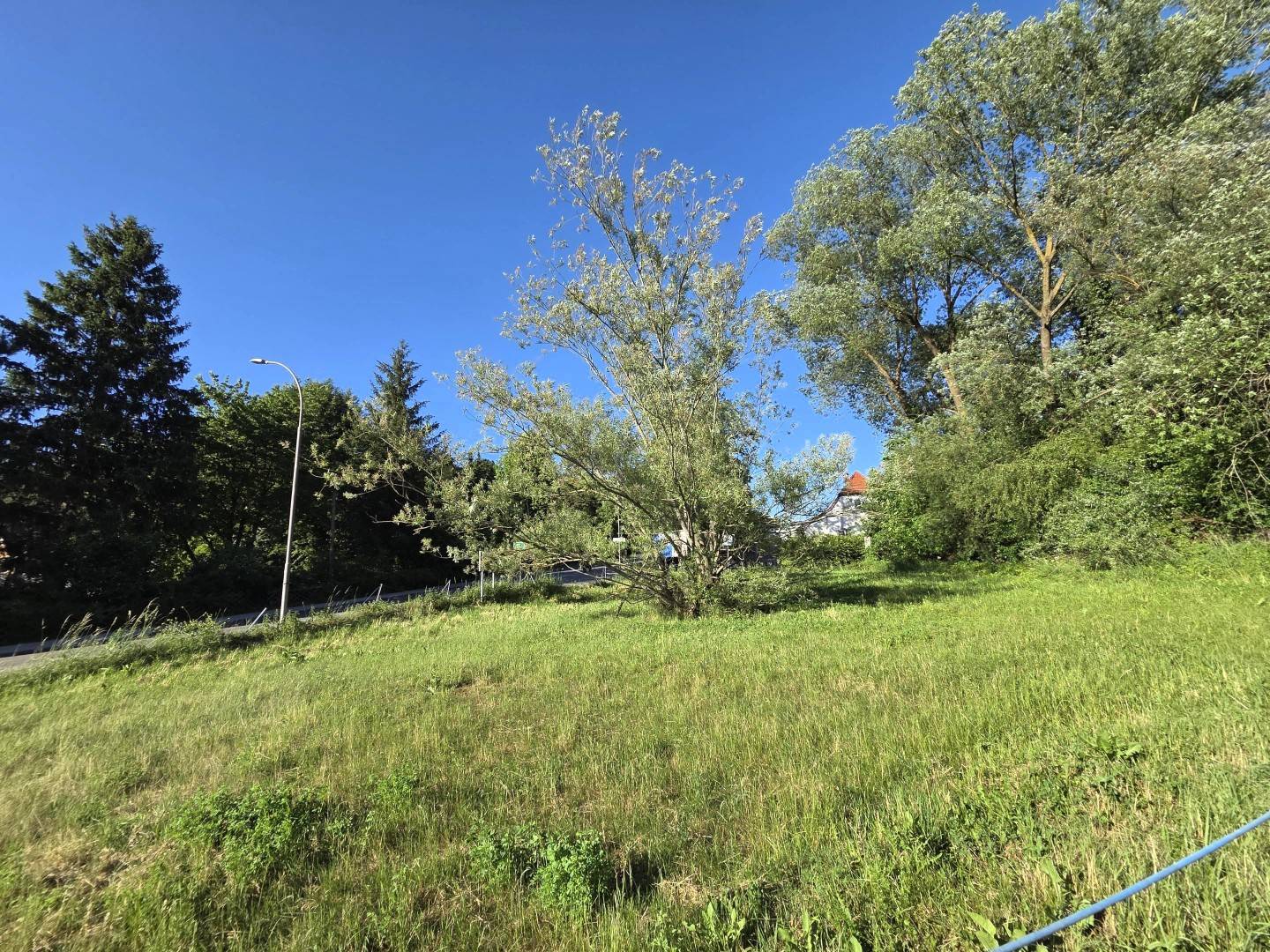 Wohnbauland mit Baumbestand in sonniger Lage