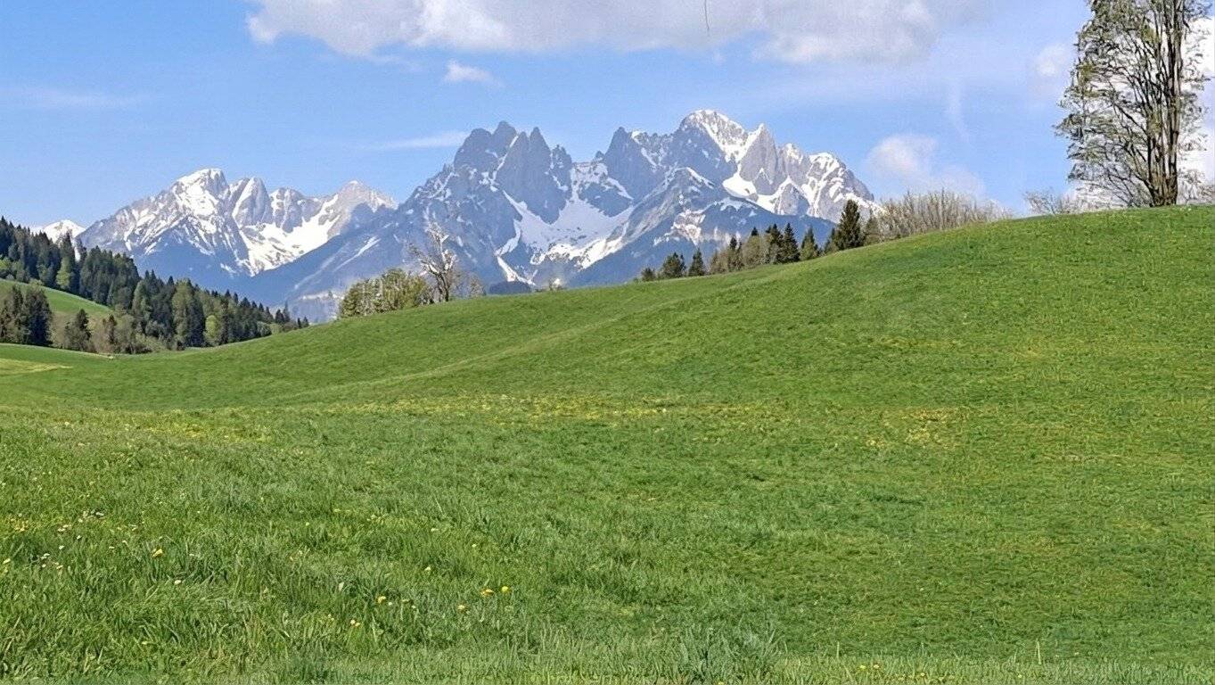 Großzügige landwirtschaftliche Fläche mit Südausrichtung