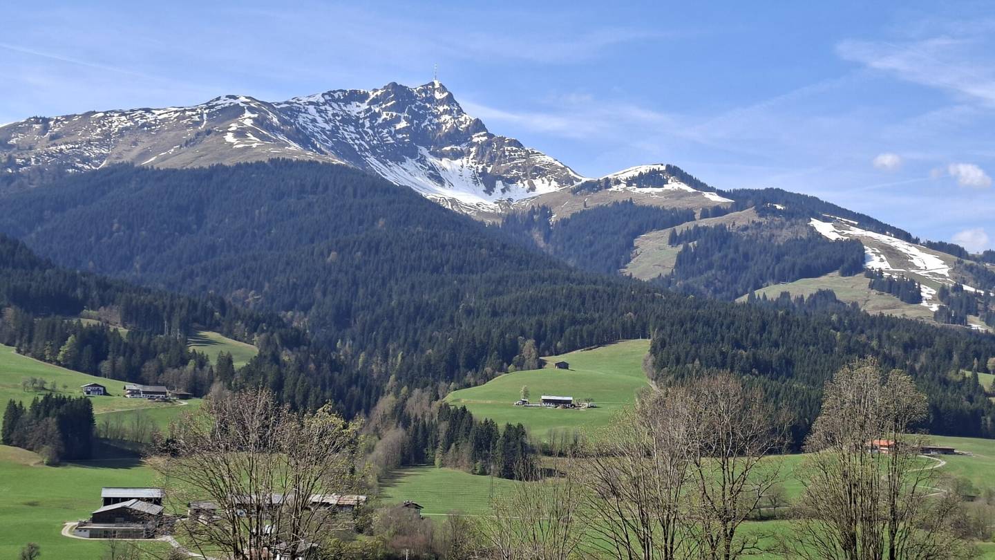 Großzügige landwirtschaftliche Fläche mit Südausrichtung