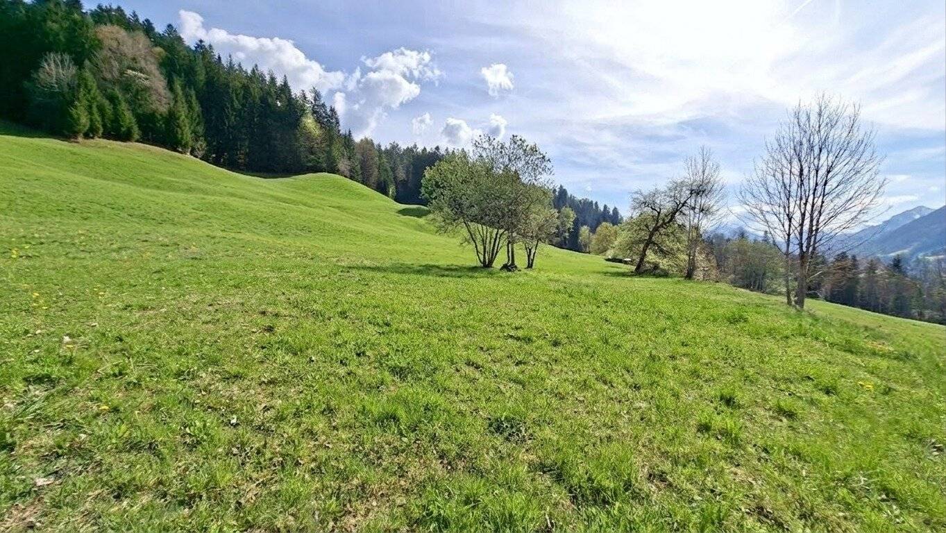 Großzügige landwirtschaftliche Fläche mit Südausrichtung