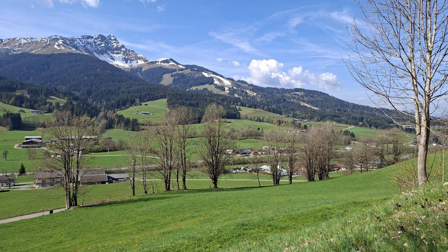 Großzügige landwirtschaftliche Fläche mit Südausrichtung
