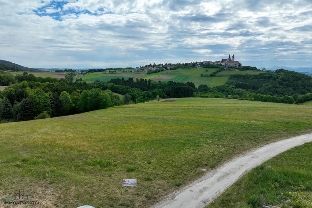 Immobilienbild 2