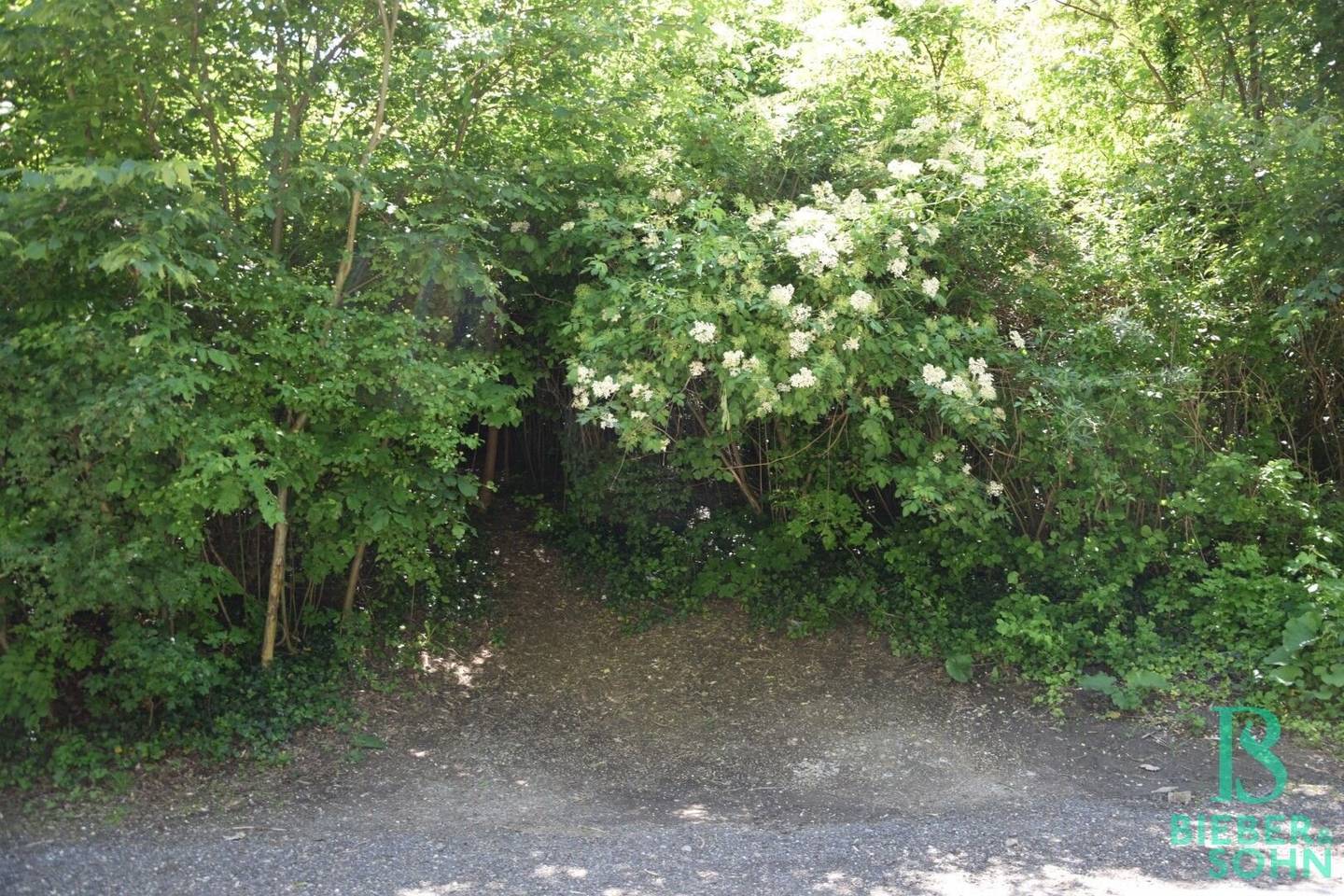 Beim Buchberg - Baugrund in herrlicher Aussichtslage - vielseitige Nutzungsmöglichkeit