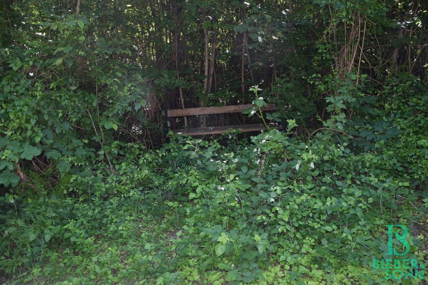 Beim Buchberg - Baugrund in herrlicher Aussichtslage - vielseitige Nutzungsmöglichkeiten