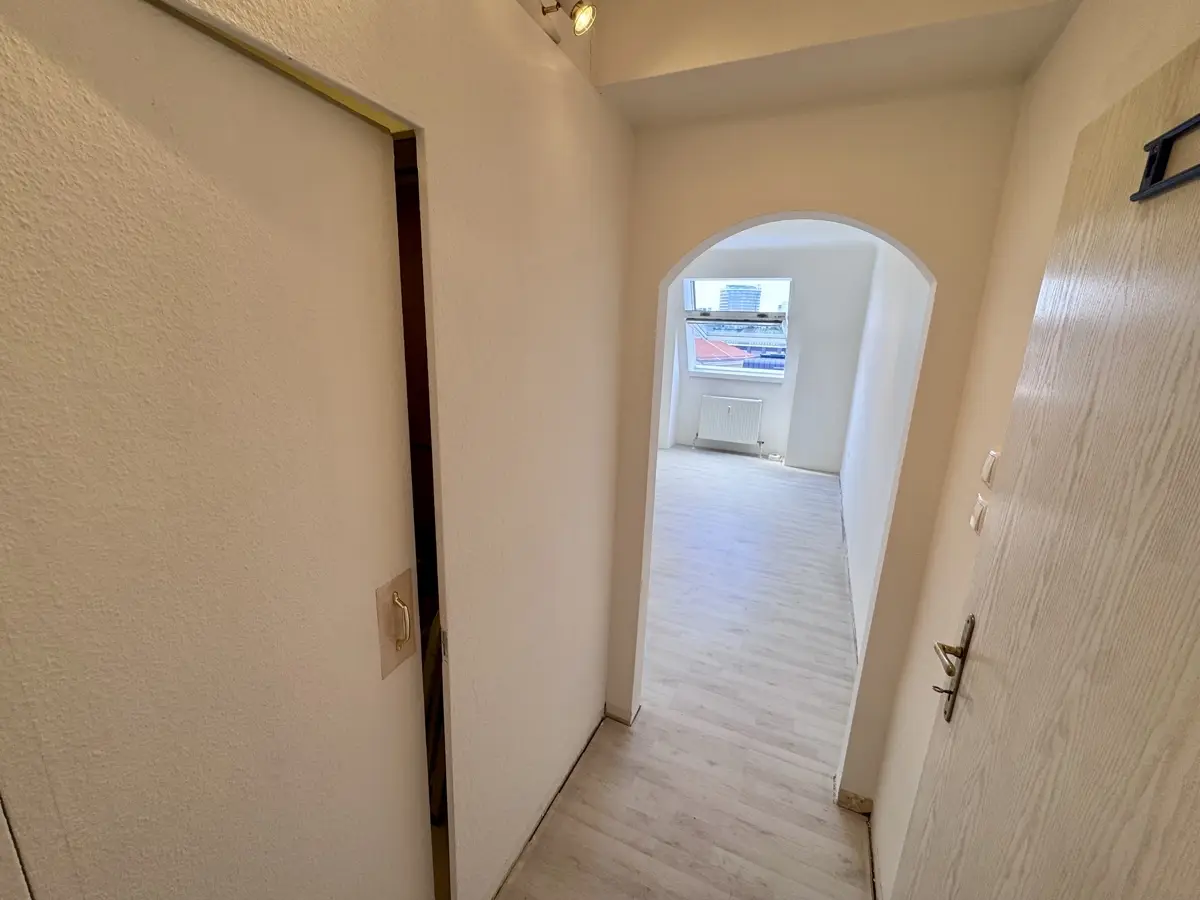 Bright penthouse apartment with panoramic view and parquet