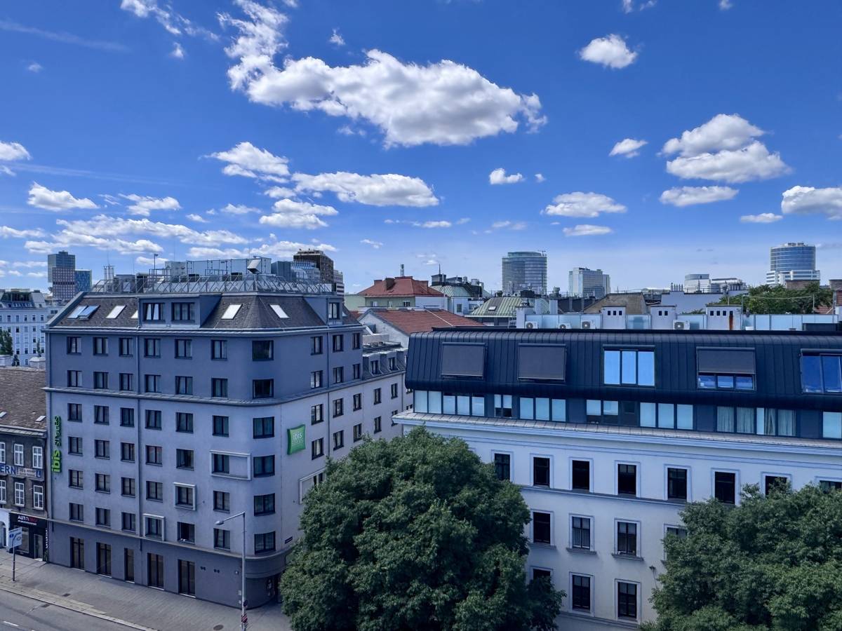 Bright penthouse apartment with panoramic view and parquet
