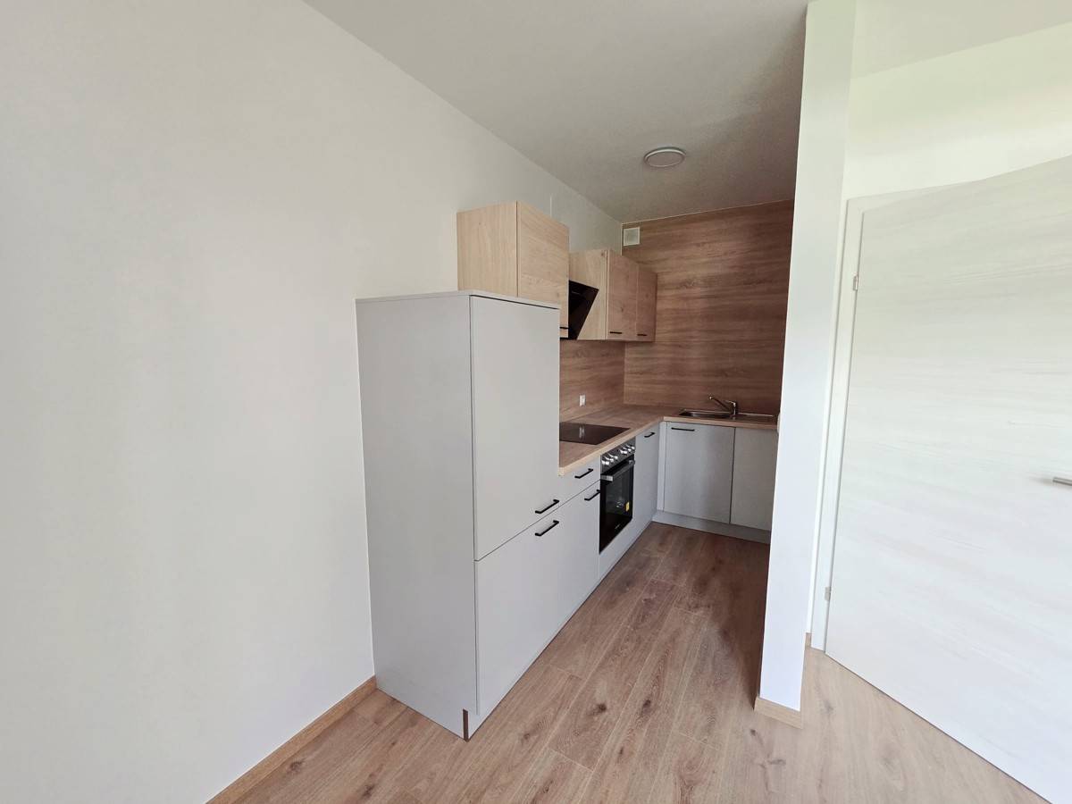 Bright Maisonette Apartment with Two Loggias and Green Views