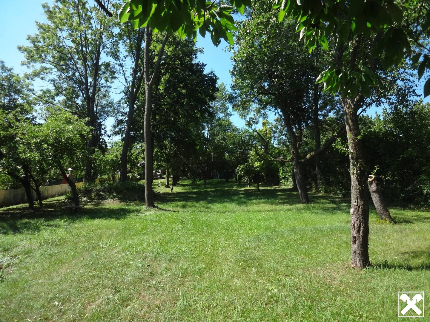 Einfamilienhaus mit großem Garten und Obstbäumen