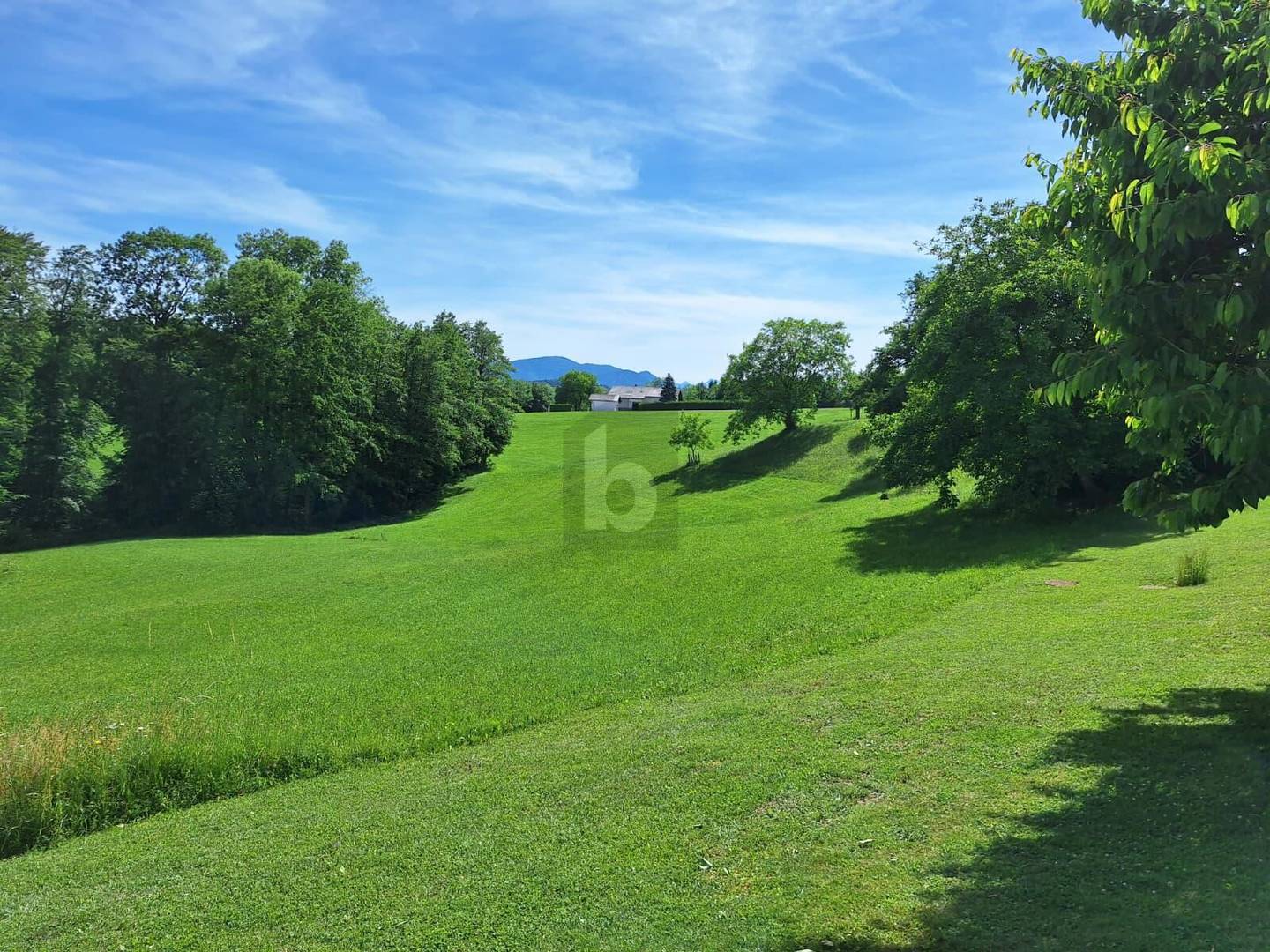 Sonniger Südhang mit unverbaubarem Blick Wohnung