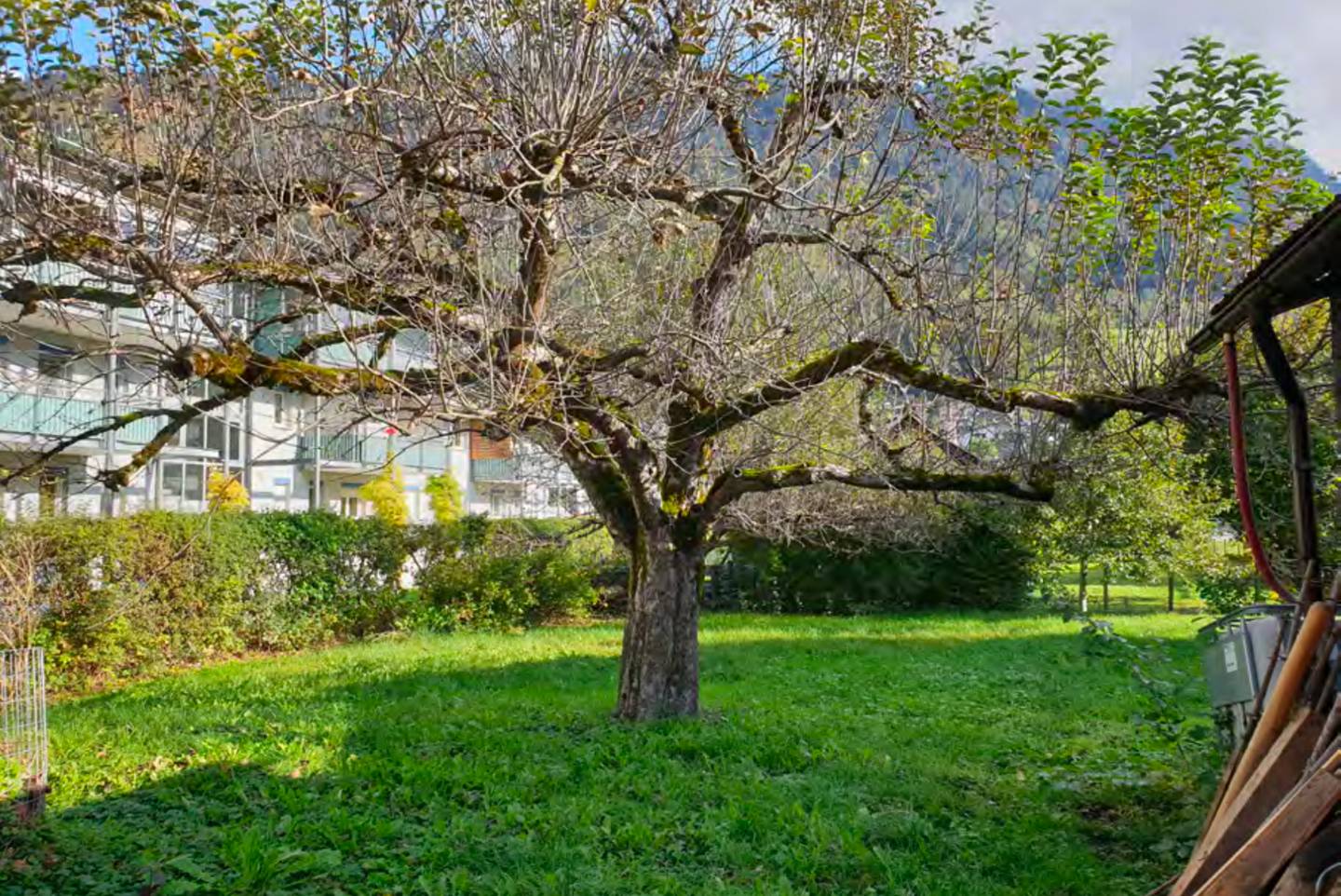 Grundstück mit Garten und Bergblick in Bludenz
