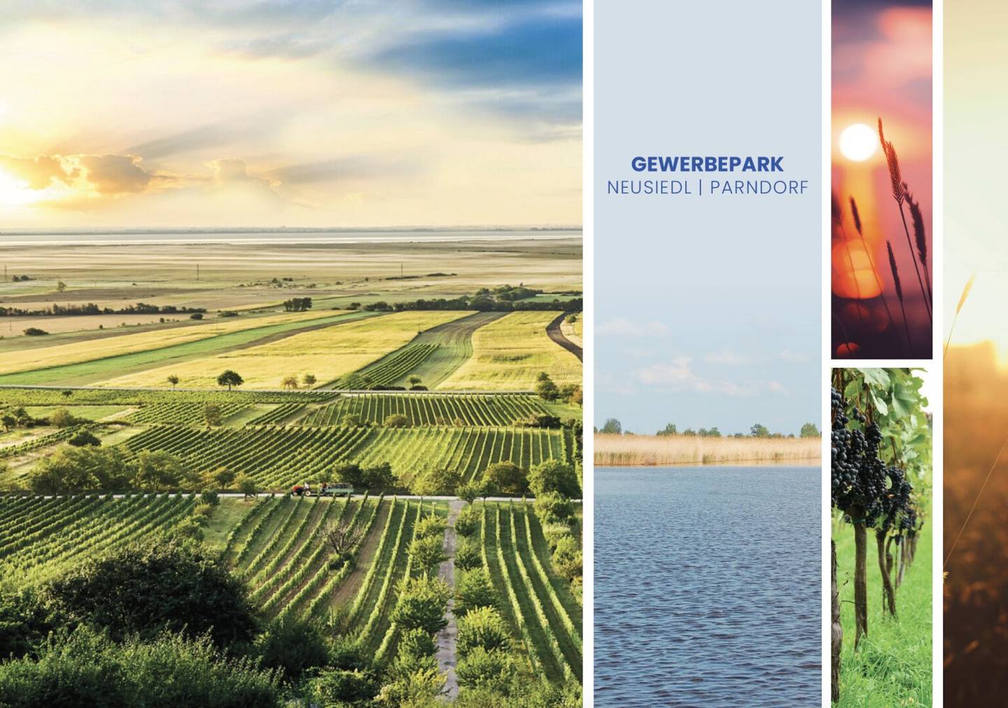 Gewerbepark Neusiedl am See with flexible warehouse space and office