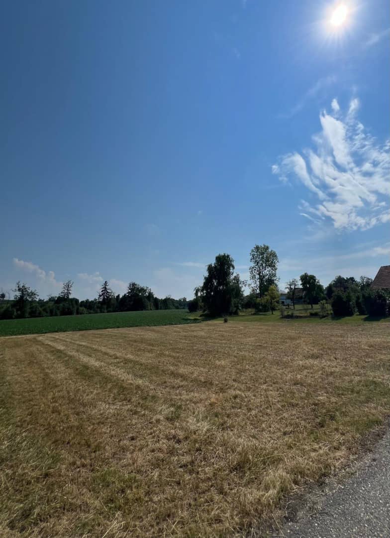 Baugrundstück in sonniger Ruhelage mit guter Anbindung