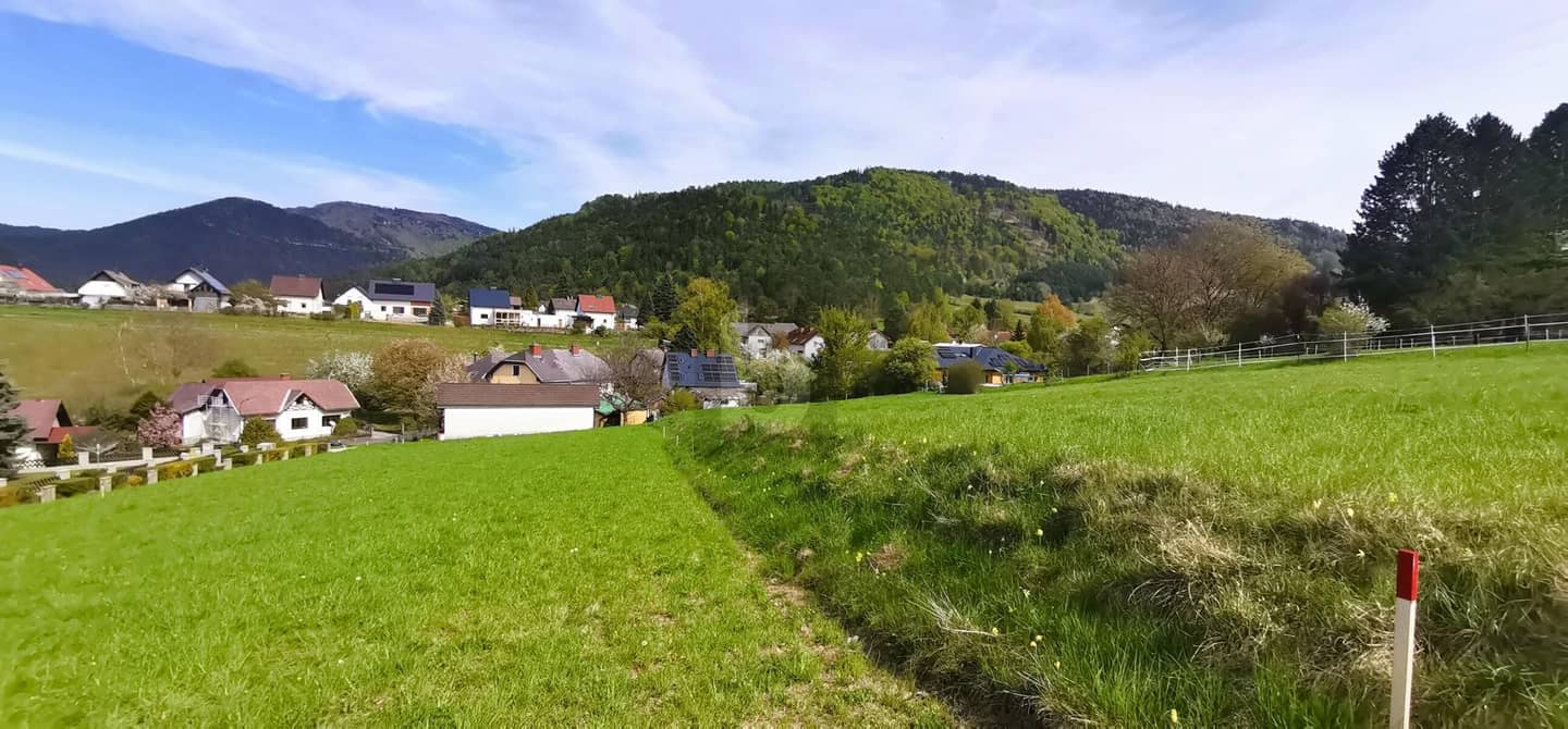 Wohnung in erhöhter Ruhelage mit unverbaubarem Weitblick