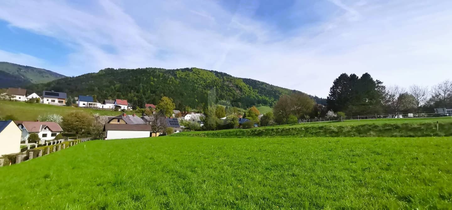 Wohnung in erhöhter Ruhelage mit unverbaubarem Weitblick