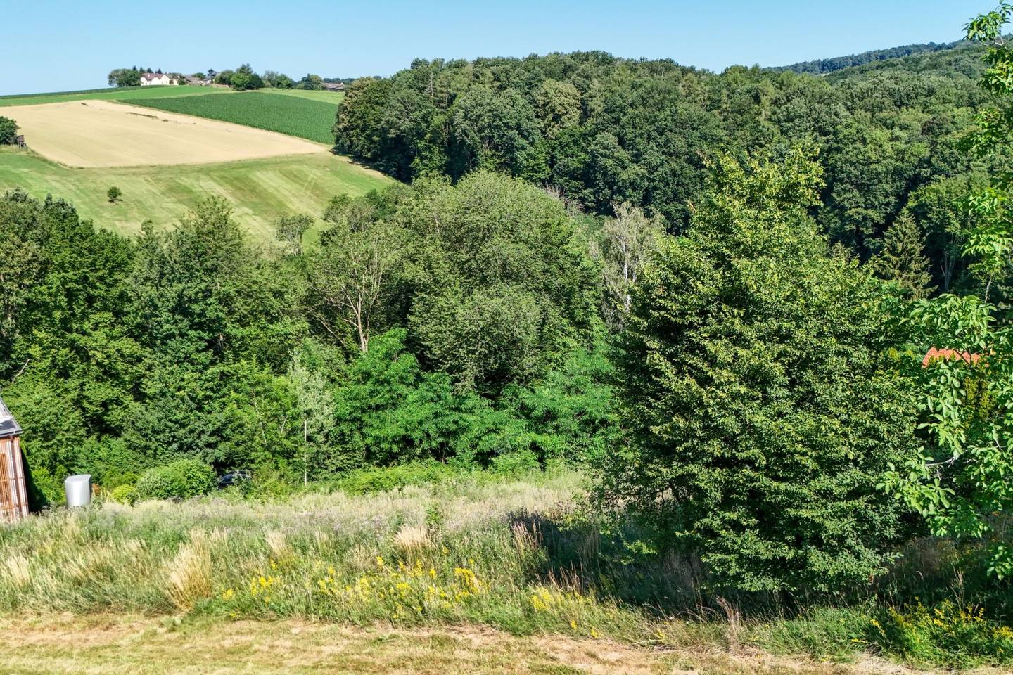 Sonnenhang Baugrundstück mit Grünblick am Waldrand