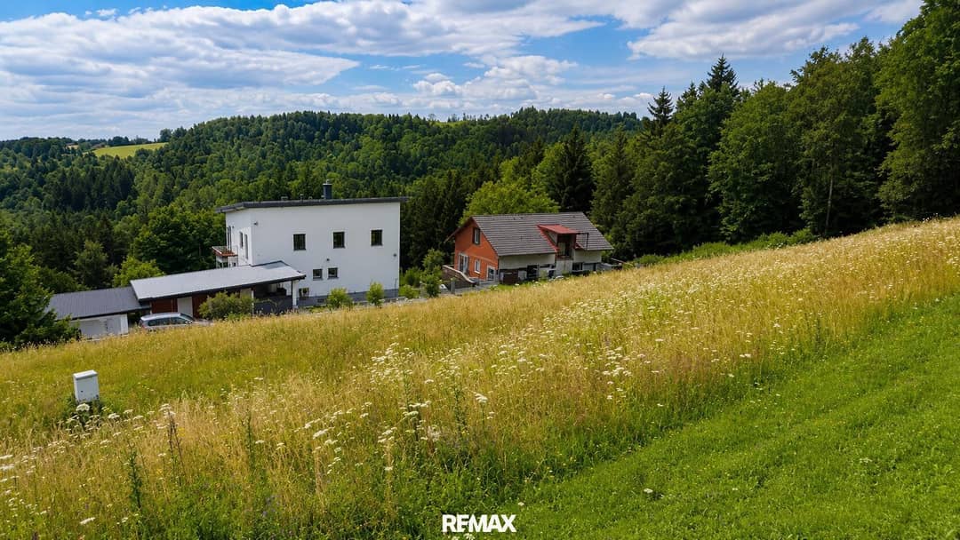 Sunny building plot with green views