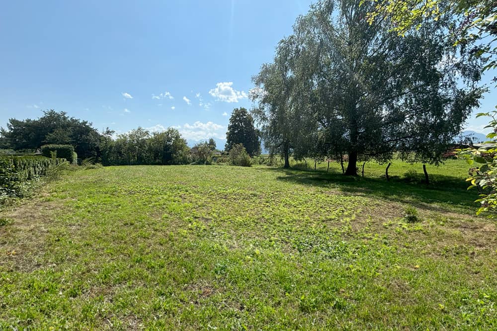 Sunny building plot at Leopoldskron green belt