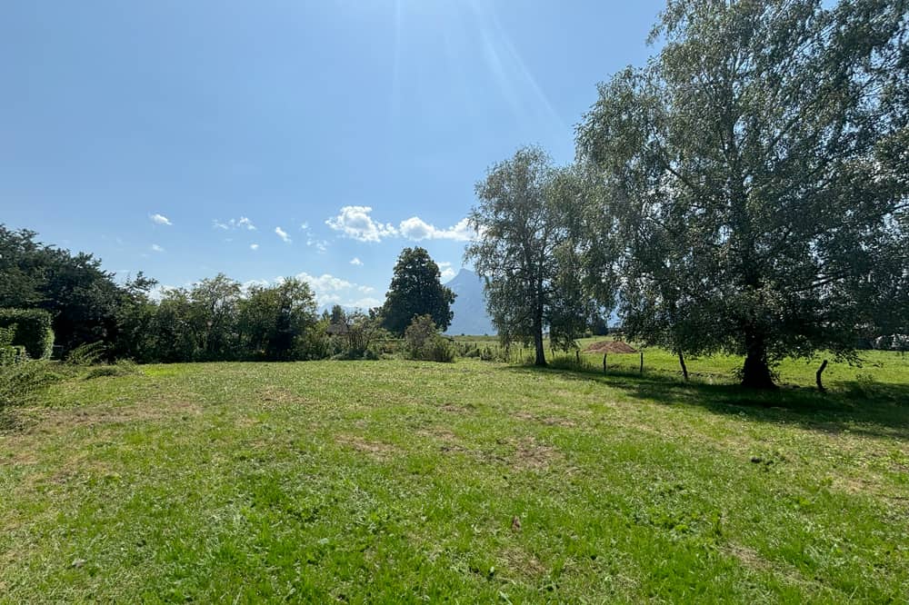 Sunny building plot at Leopoldskron green belt